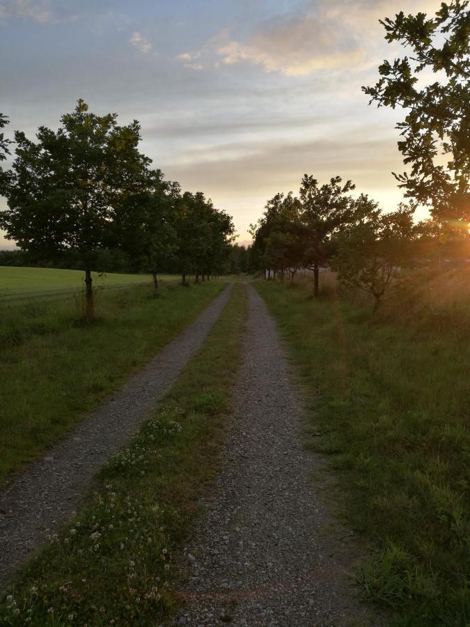 فيلا Haervejsly - Perfekt Familiebase Til Oplevelse Af Sydjylland جايف المظهر الخارجي الصورة